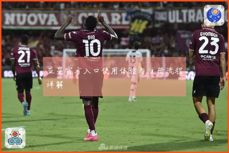 亚星官方入口使用体验与注册流程详解