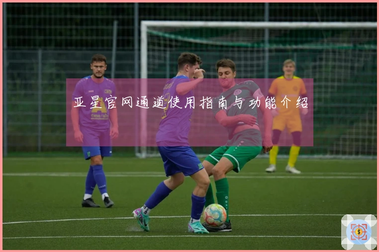 亚星官网通道使用指南与功能介绍