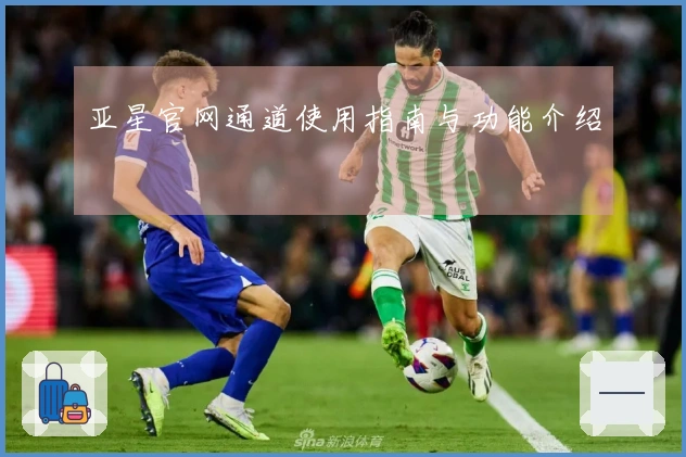 亚星官网通道使用指南与功能介绍